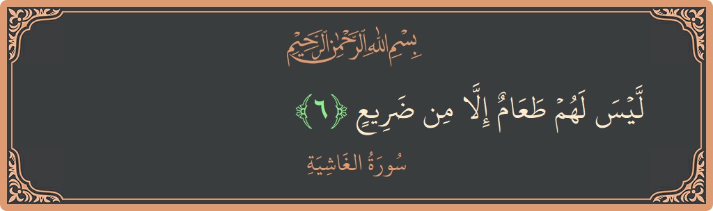 Verse 6 - Surah Al-Ghaashiya: (ليس لهم طعام إلا من ضريع...)